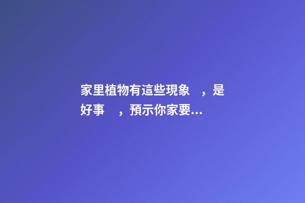 家里植物有這些現象，是好事，預示你家要發大財了！